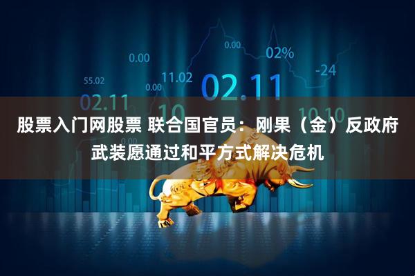 股票入门网股票 联合国官员：刚果（金）反政府武装愿通过和平方式解决危机