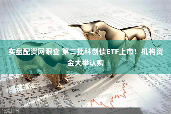 实盘配资网眼查 第二批科创债ETF上市！机构资金大举认购