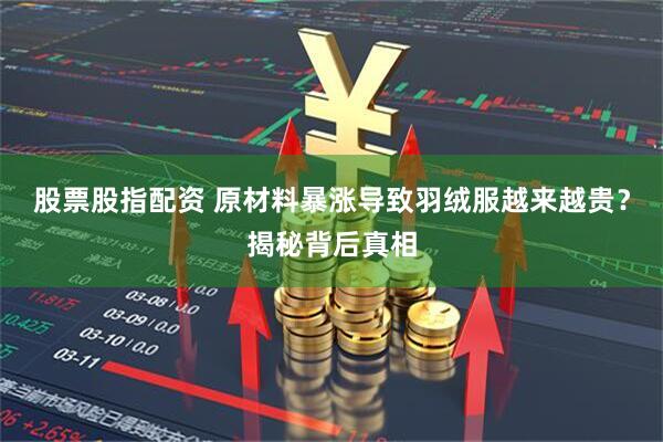 股票股指配资 原材料暴涨导致羽绒服越来越贵？揭秘背后真相